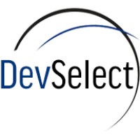 DevSelect, LLC Logo