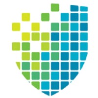Dynamic Solutions International Logo