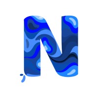 Nash Perspective Logo