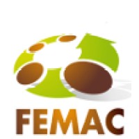 Clúster FEMAC Logo
