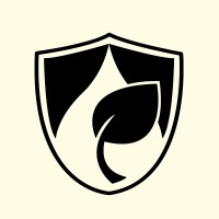 The Wellspring School, Ras Al Khaimah Logo