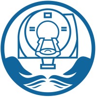 DI Insights LLC Logo