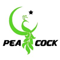 Pcock Logo