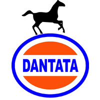 Dantata Holdings Limited Logo