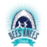 Bees Knees Dance Logo