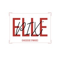 PIXELLE Logo
