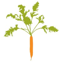 Stone Barns Center for Food & Agriculture Logo
