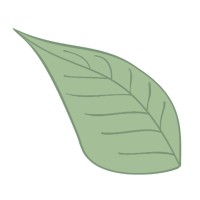 SeedStep Angels Logo