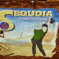 Sequoia Pro Bowl Logo