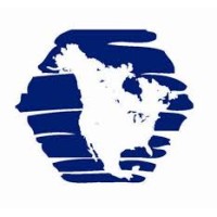 Remis America LLC Logo