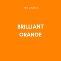 Brilliant Orange Group Logo