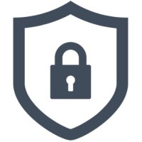 Sneekes Cyber Security Logo