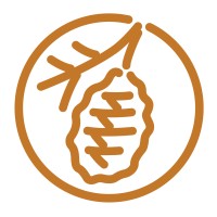 Waverley Street Foundation Logo