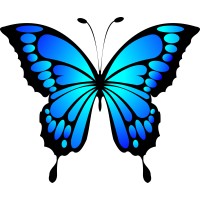 Metamorphosis Unlimited LLC Logo