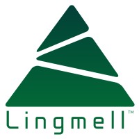 Lingmell Consultancy Logo