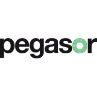 Pegasor Oy Logo