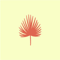 Palmetto | Interiors & Renovations Logo