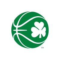 Basketball Ireland Logo