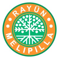 Colegio Rayün Melipilla Logo
