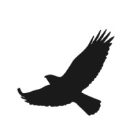 Soaring GTM Logo