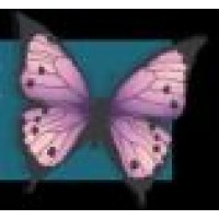 Wholeness to Freedom Ministries, Inc. Logo