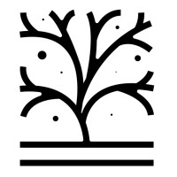 Banyan Business Outcomes LLC Logo