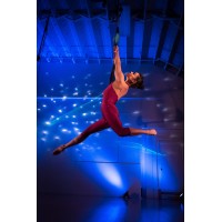 UpSwing Aerial Dance Company Logo