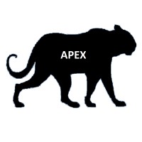 Apex Cybersecurity Solutions Logo
