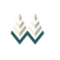 White Pine Insurance Company Logo