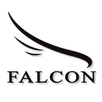 FALCON CORPORATE SERVICES FZC Logo
