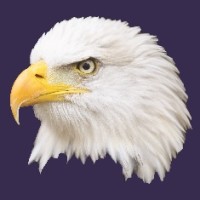 Freedom Wealth Management Logo