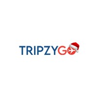 TripzyGo International Logo