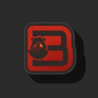Bionic Owls Logo
