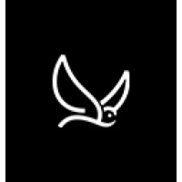 Skyzer NZ Logo