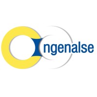 Ingenalse S.A Logo