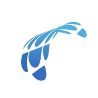 IT PLUS I SOFTWARES PVT. LIMITED Logo