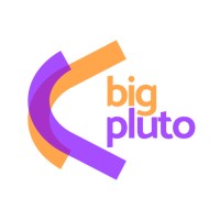 BigPluto Technologies Private Limited Logo