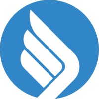 PayWings Holding Logo