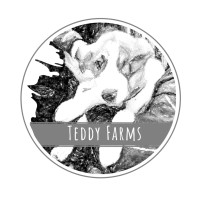 Teddy Farms Logo