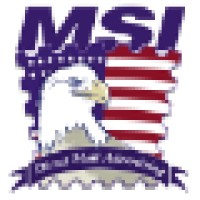 MSI Marketing (Mailing Systems, Inc.) Logo