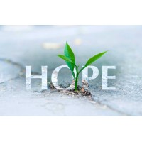 Abundant Hope Integrated Solutions Logo