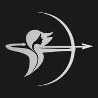 Diana Financial Logo