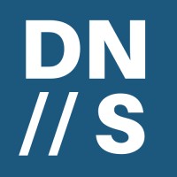 Digital Native Search Logo