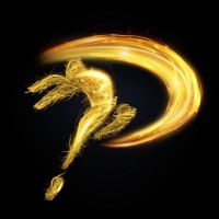 Paragon Dance Animations Logo