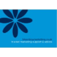 BlueDaisy Marketing Logo