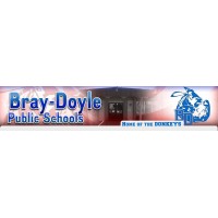 Bray Doyle High School Logo