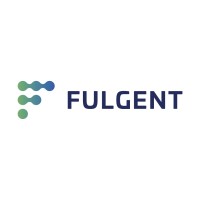 FULGENT TECHNOLOGIES LIMITED Logo