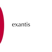 exantis. facilitation works. Logo