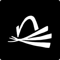 NidoSpaces Logo