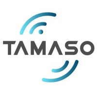 Tamaso Consultoria Logo
